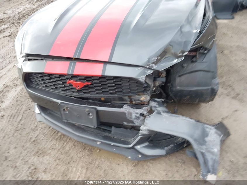 2017 Ford Mustang Ecoboost Premium VIN: 1FA6P8TH8H5206578 Lot: 12467374