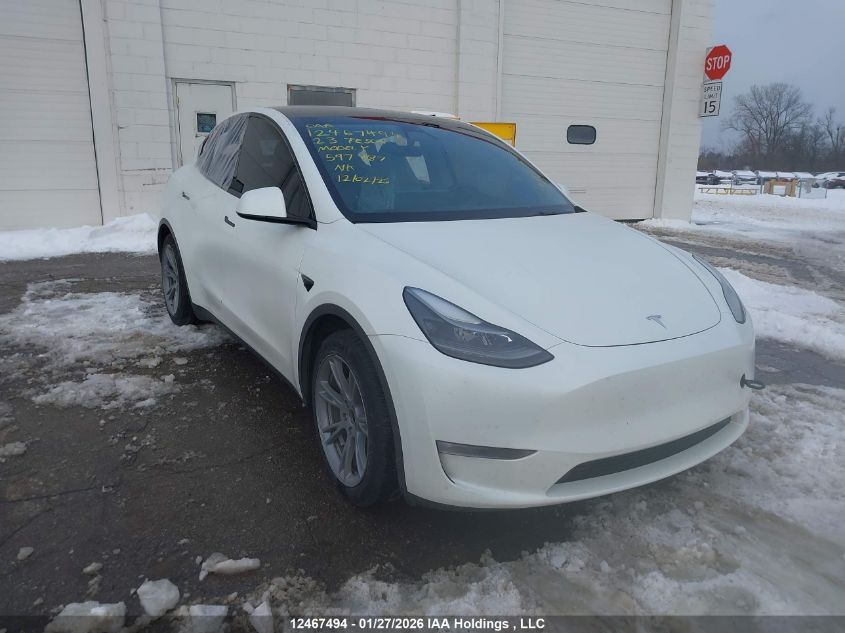 2023 Tesla Model Y