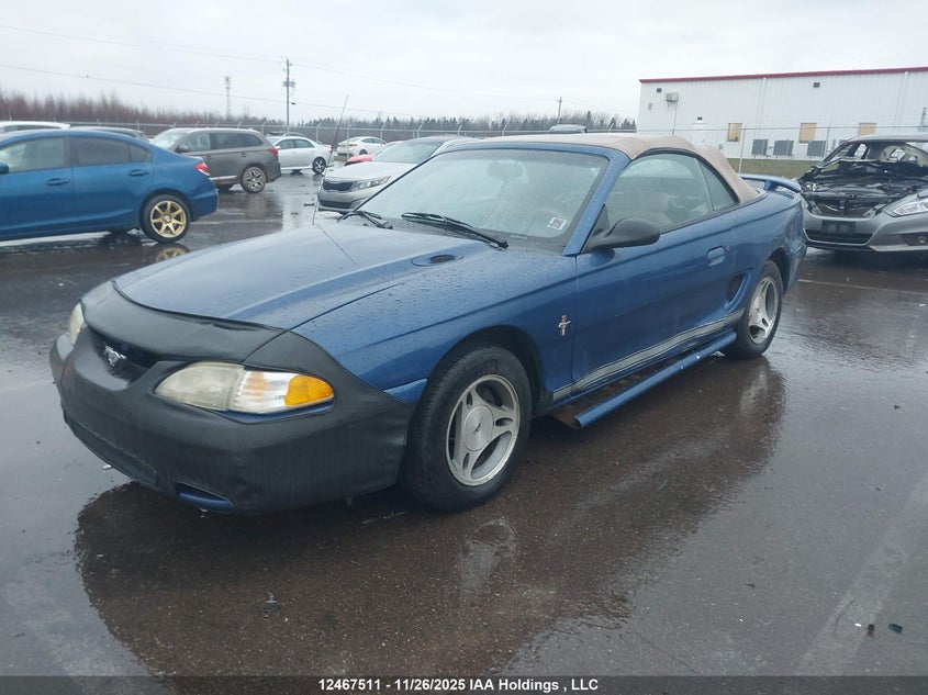 1998 Ford Mustang Convertible VIN: 1FAFP4446WF183538 Lot: 12467511