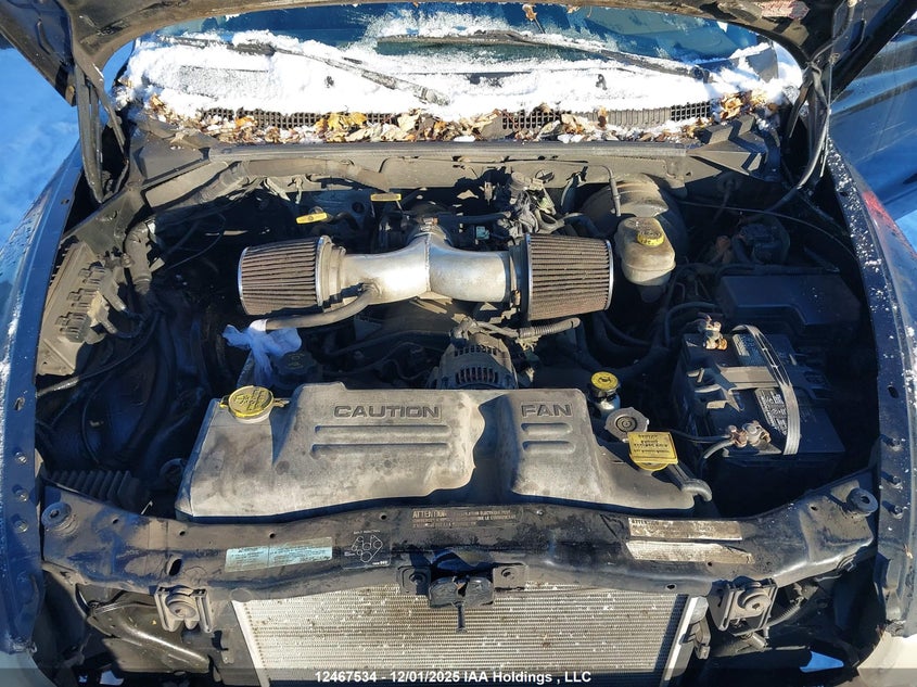 1B7GL22N8YS740891 2000 DODGE DAKOTA photo no. 10