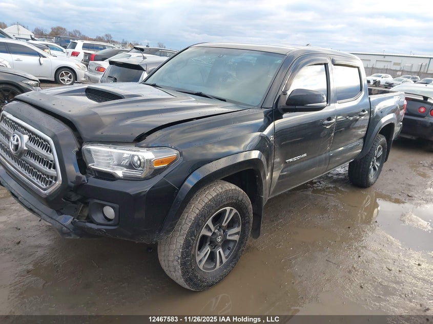 5TFCZ5AN7HX110363 2017 TOYOTA TACOMA photo no. 2