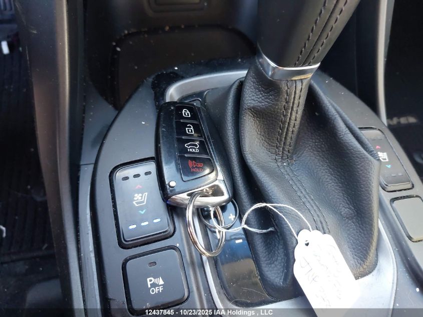 2017 Hyundai Santa Fe Sport 2.0T Limited VIN: 5XYZUDLA2HG424731 Lot: 12437845X