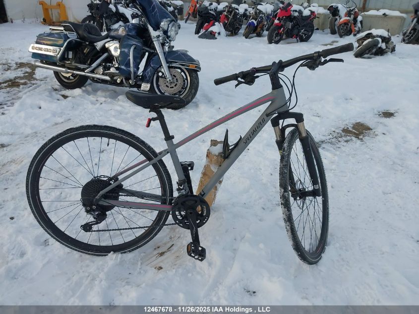 2019 Specialized Ariel Elite VIN: WSBC920347491P Lot: 12467678