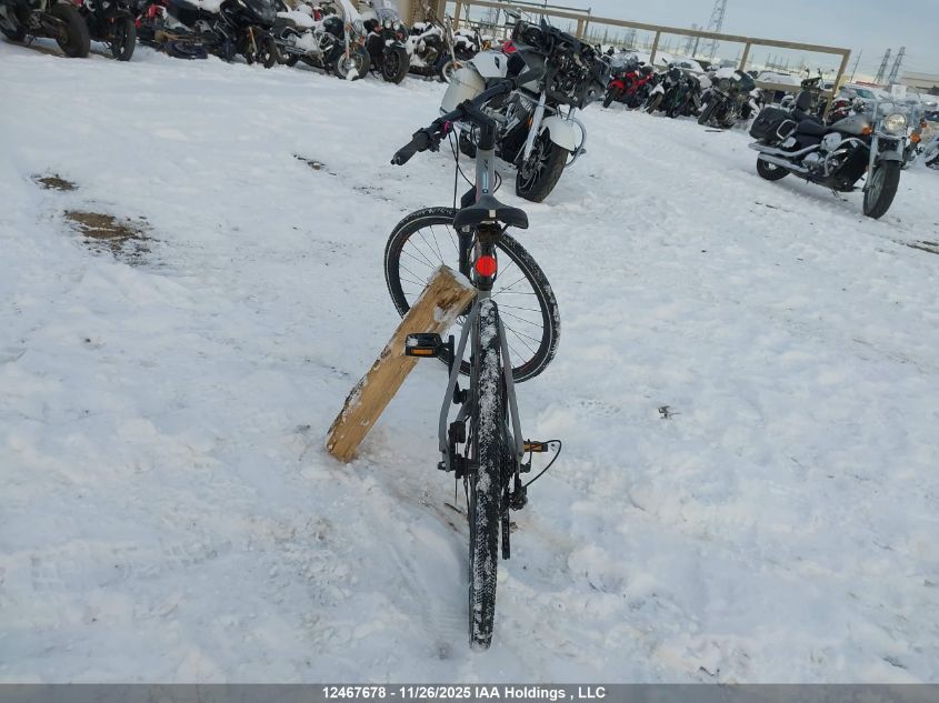 2019 Specialized Ariel Elite VIN: WSBC920347491P Lot: 12467678