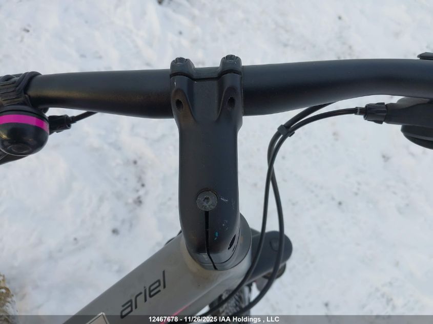 2019 Specialized Ariel Elite VIN: WSBC920347491P Lot: 12467678