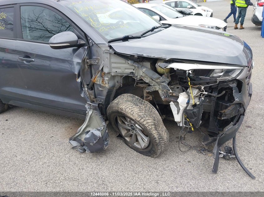 2016 Hyundai Tucson Premium VIN: KM8J3CA41GU104686 Lot: 12446086X