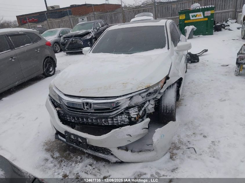 2017 Honda Accord Sport VIN: 1HGCR2F56HA803629 Lot: 12467735