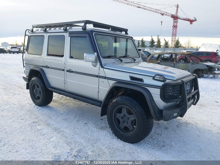 WDB4632481X129998 2002 Mercedes-Benz G-Class auction photo 1