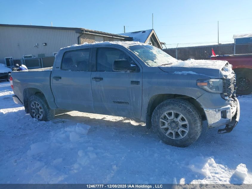 2020 Toyota Tundra VIN: 5TFDY5F13LX939940 Lot: 12467777