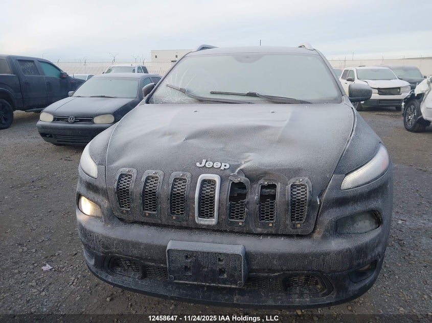 2014 Jeep Cherokee North VIN: 1C4PJMCB2EW203556 Lot: 12458647X