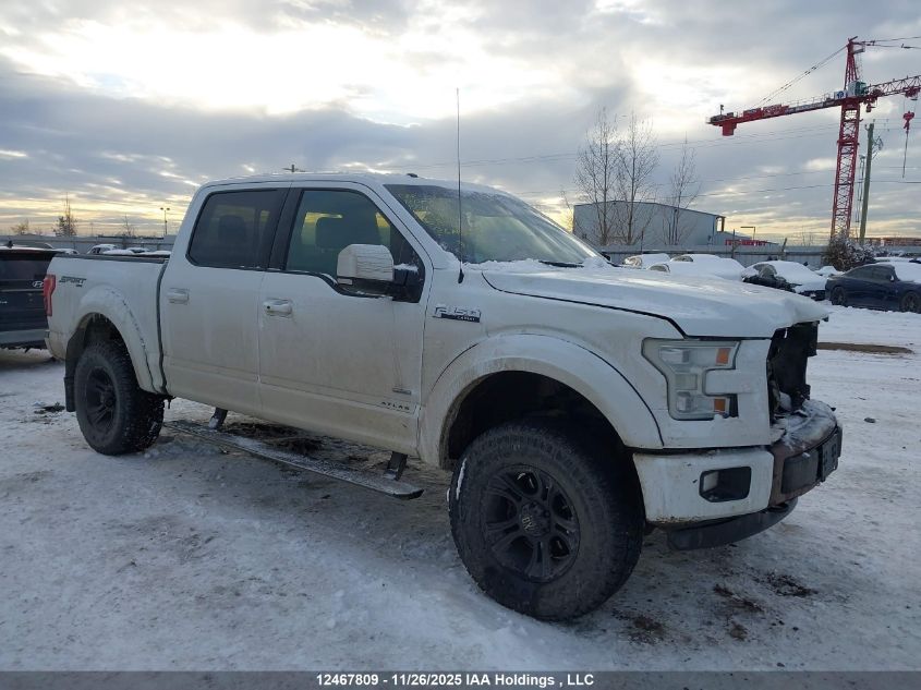 2015 Ford F150 Supercrew VIN: 1FTEW1EG8FFB49892 Lot: 12467809