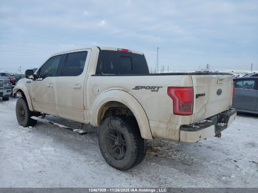 2015 Ford F150 Supercrew VIN: 1FTEW1EG8FFB49892 Lot: 12467809