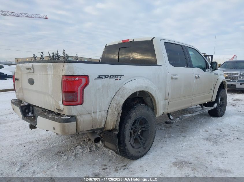 2015 Ford F150 Supercrew VIN: 1FTEW1EG8FFB49892 Lot: 12467809