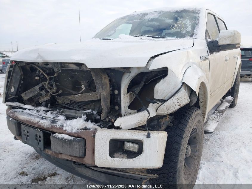 2015 Ford F150 Supercrew VIN: 1FTEW1EG8FFB49892 Lot: 12467809