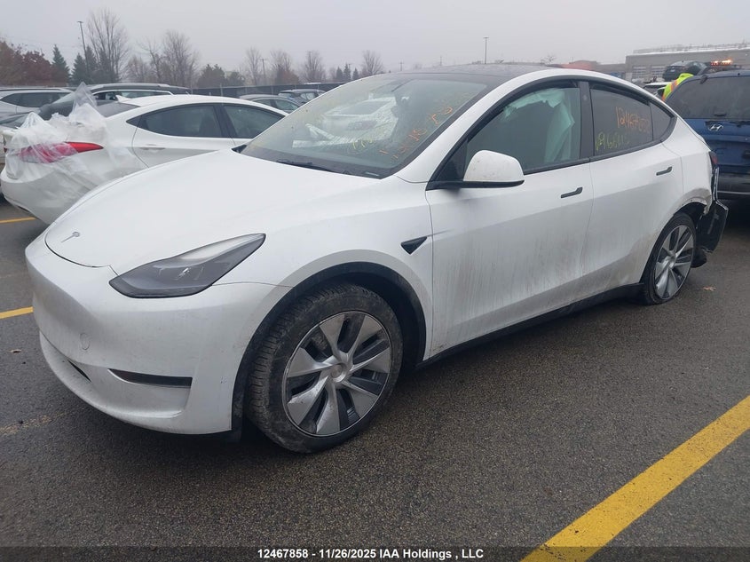 LRWYGDFDXPC966815 2023 TESLA MODEL Y photo no. 2