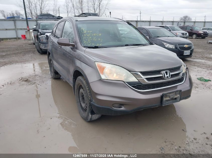 2011 Honda Cr-V Ex VIN: 5J6RE4H58BL817695 Lot: 12467859