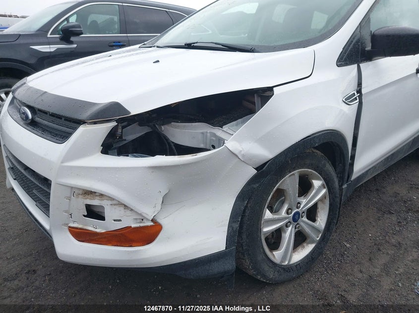 2014 Ford Escape S VIN: 1FMCU0F73EUB87817 Lot: 12467870