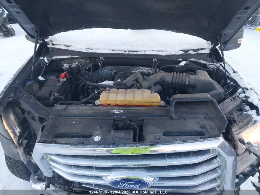 1FTFW1EF6HKE31552 2017 FORD F-150 photo no. 10