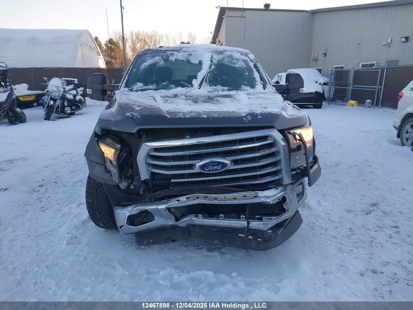 1FTFW1EF6HKE31552 2017 FORD F-150 photo no. 12