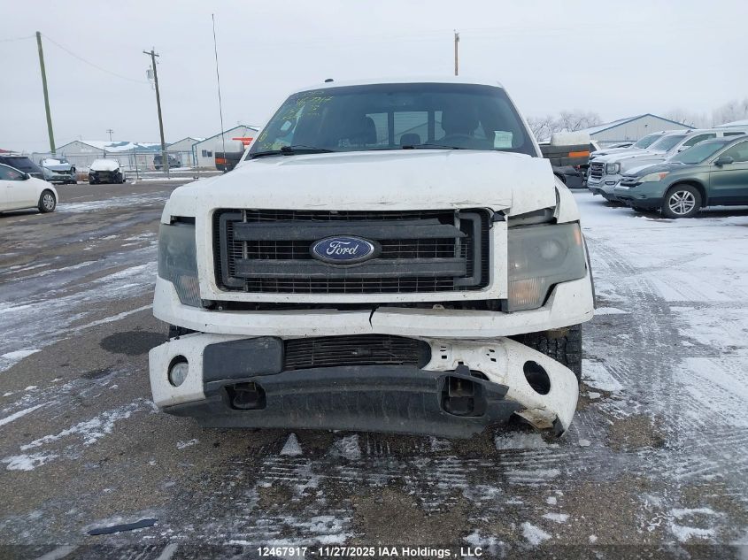 2013 Ford F-150 Fx4 VIN: 1FTFW1ET0DKE53532 Lot: 12467917