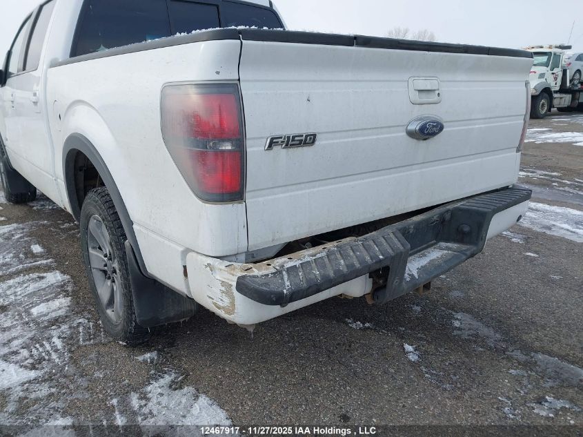 2013 Ford F-150 Fx4 VIN: 1FTFW1ET0DKE53532 Lot: 12467917