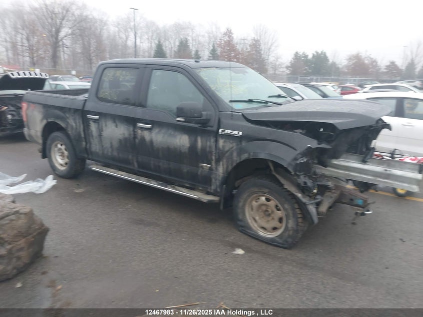 1FTEW1EP2GFB04898 2016 Ford F-150 Xlt auction photo 1