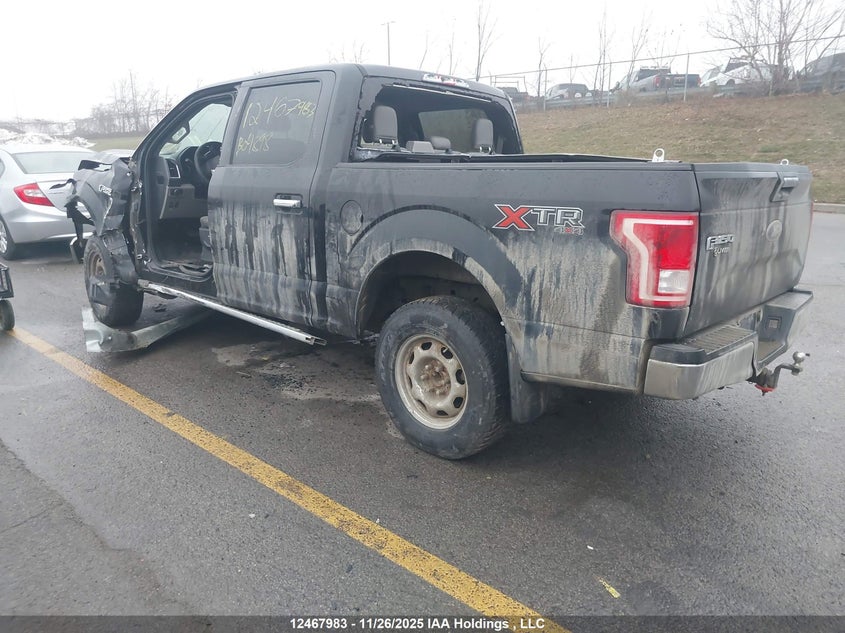 1FTEW1EP2GFB04898 2016 FORD F-150 photo no. 3
