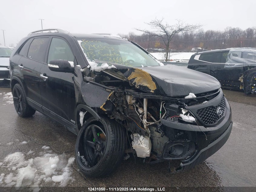 2013 Kia Sorento Ex Luxury V6/Ex V6 VIN: 5XYKUDA20DG366609 Lot: 12431050X
