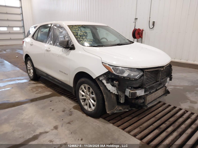 2GNAXHEV1K6115419 2019 Chevrolet Equinox Ls auction photo 1