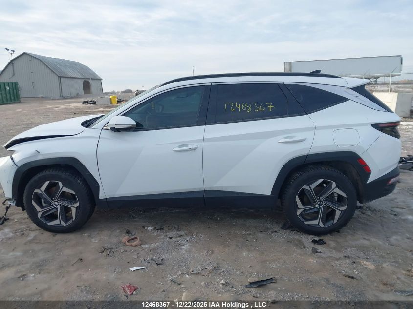 2023 Hyundai Tucson Ultimate Hybrid Awd VIN: KM8JCCA19PU097511 Lot: 12468367
