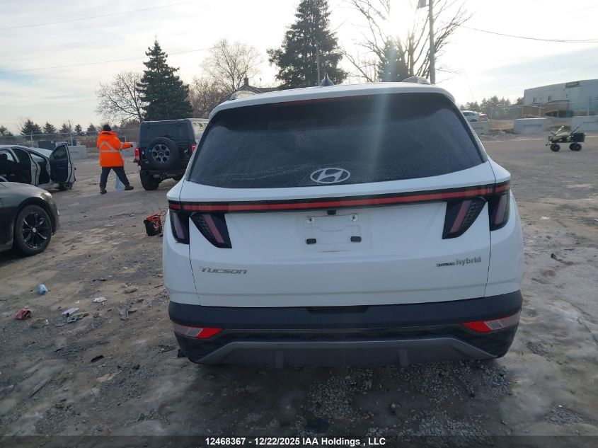 2023 Hyundai Tucson Ultimate Hybrid Awd VIN: KM8JCCA19PU097511 Lot: 12468367