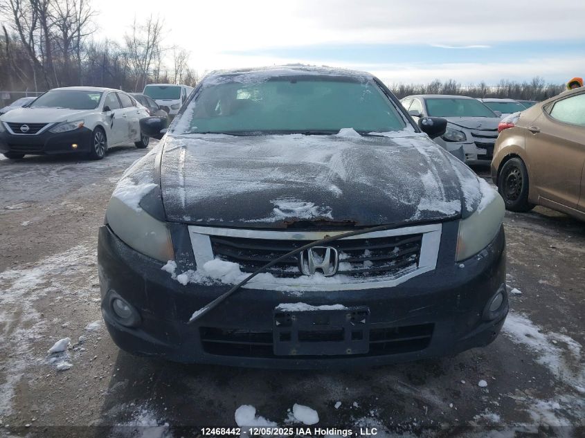 2010 Honda Accord Exl VIN: 1HGCP2F88AA805694 Lot: 12468442