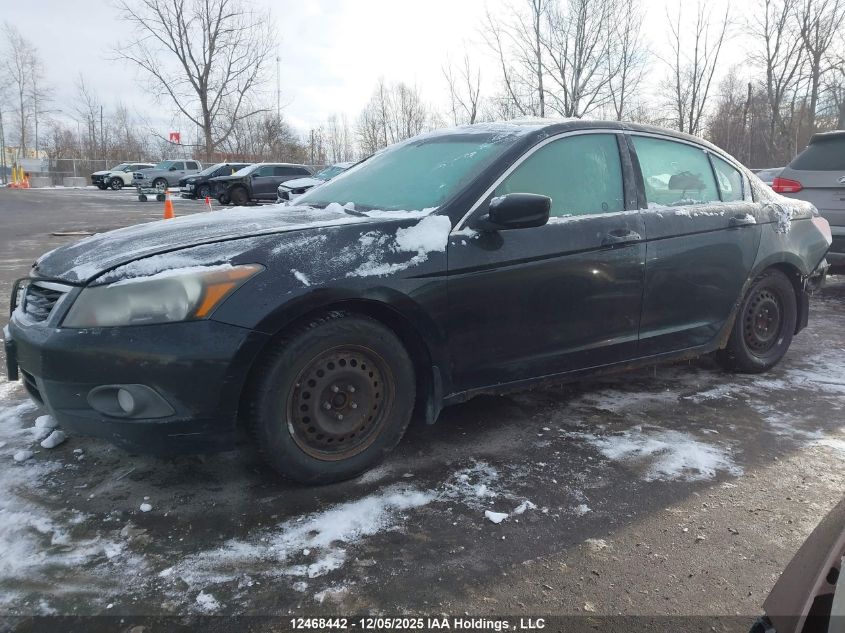 2010 Honda Accord Exl VIN: 1HGCP2F88AA805694 Lot: 12468442