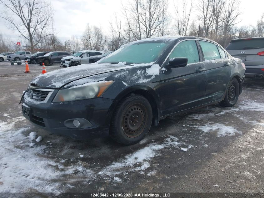 2010 Honda Accord Exl VIN: 1HGCP2F88AA805694 Lot: 12468442