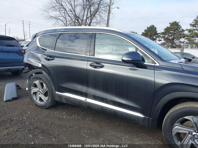 2022 Hyundai Santa Fe Sel VIN: 5NMS3DAJ8NH462828 Lot: 12468468