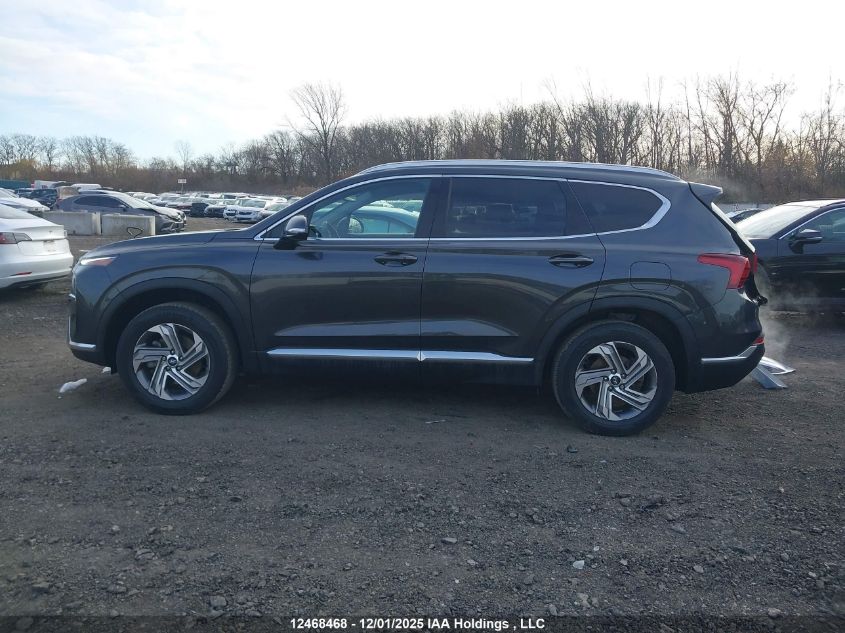 2022 Hyundai Santa Fe Sel VIN: 5NMS3DAJ8NH462828 Lot: 12468468