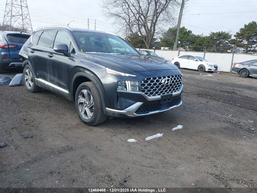 2022 Hyundai Santa Fe Sel VIN: 5NMS3DAJ8NH462828 Lot: 12468468