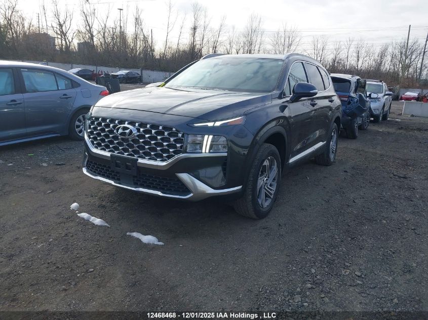 2022 Hyundai Santa Fe Sel VIN: 5NMS3DAJ8NH462828 Lot: 12468468
