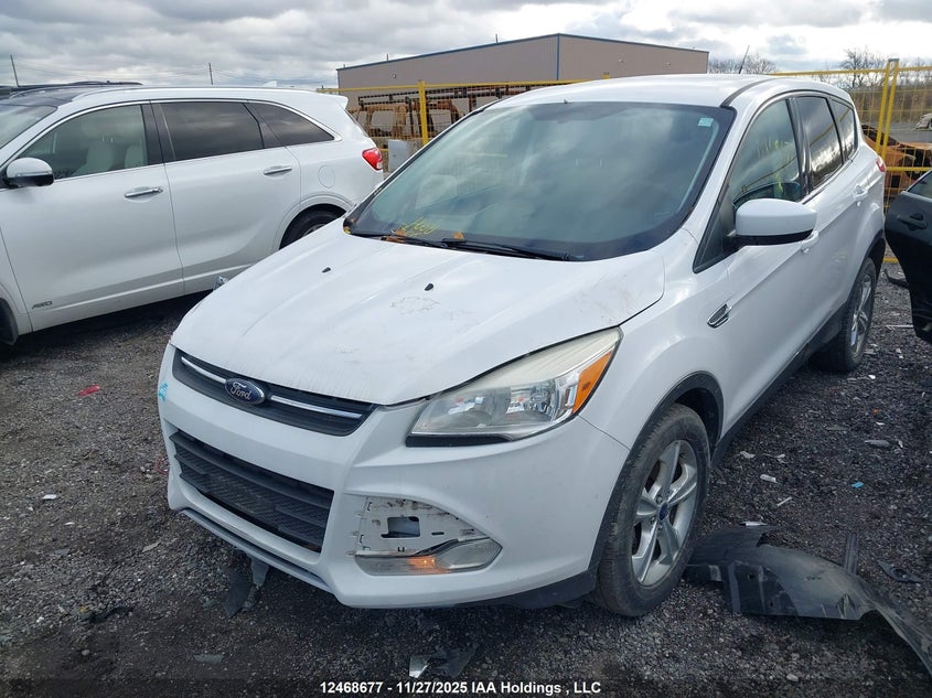 1FMCU0GXXEUB67188 2014 FORD ESCAPE photo no. 2