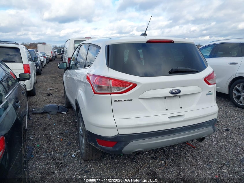 1FMCU0GXXEUB67188 2014 FORD ESCAPE photo no. 3