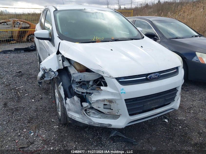 1FMCU0GXXEUB67188 2014 FORD ESCAPE photo no. 6