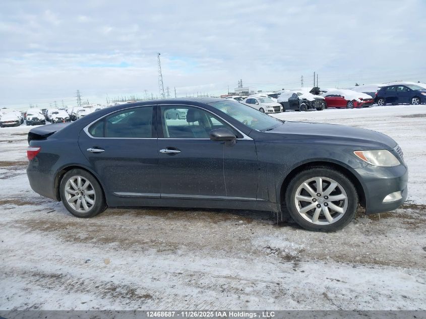 2007 Lexus Ls 460 VIN: JTHBL46F675006951 Lot: 12468687