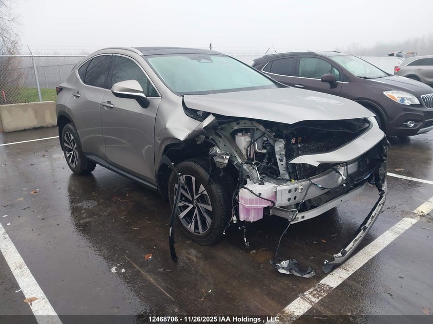 2T2GGCEZ5PC031601 2023 LEXUS NX photo no. 8