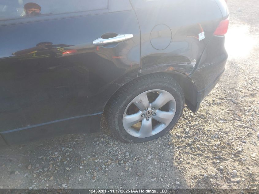 2009 Acura Rdx VIN: 5J8TB18549A800273 Lot: 12459281X