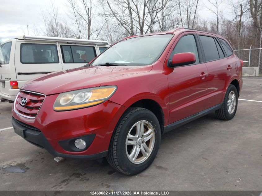 2010 Hyundai Santa Fe VIN: 5NMSGDAG9AH416332 Lot: 12469082