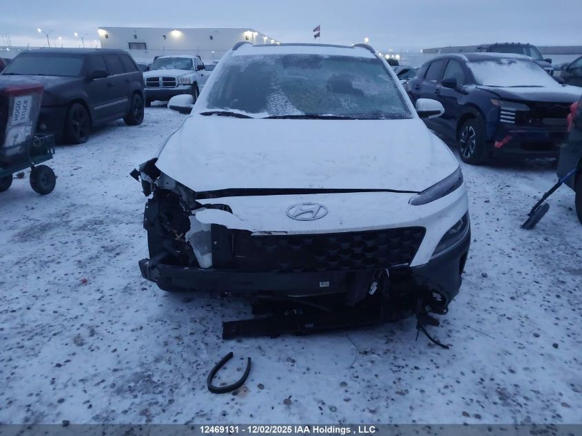 2023 Hyundai Kona VIN: KM8K6CABXPU028766 Lot: 12469131