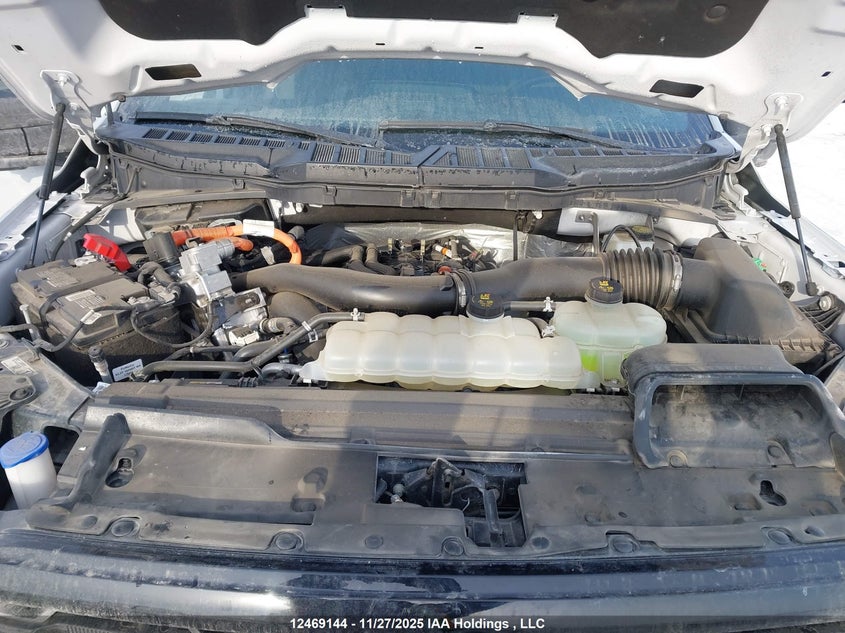 1FTFW3LD1RFB33689 2024 FORD F-150 photo no. 10