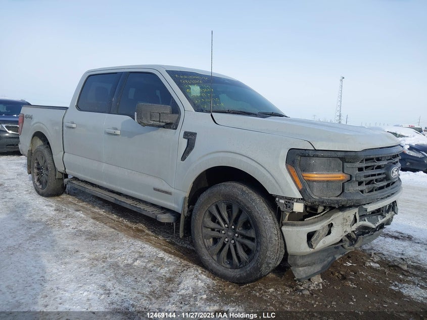 1FTFW3LD1RFB33689 2024 FORD F-150 photo no. 7