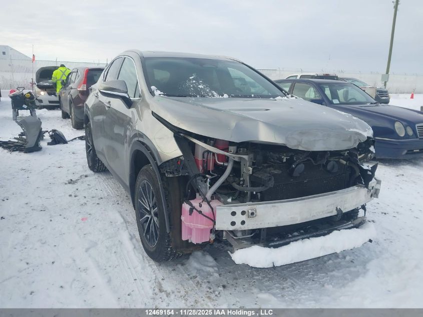 2024 Lexus Nx 350H 350H