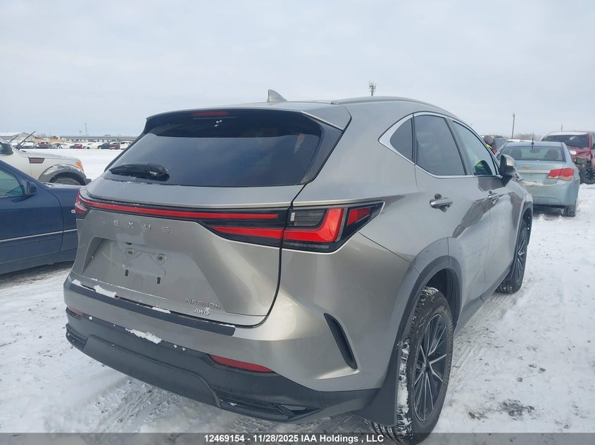 2T2GKCEZ6RC022147 2024 LEXUS NX photo no. 4